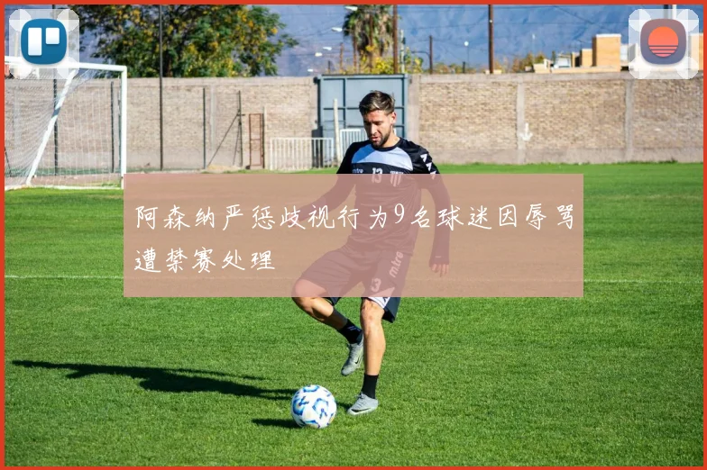 阿森纳严惩歧视行为9名球迷因辱骂遭禁赛处理