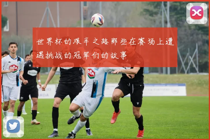 世界杯的艰辛之路那些在赛场上遭遇挑战的冠军们的故事