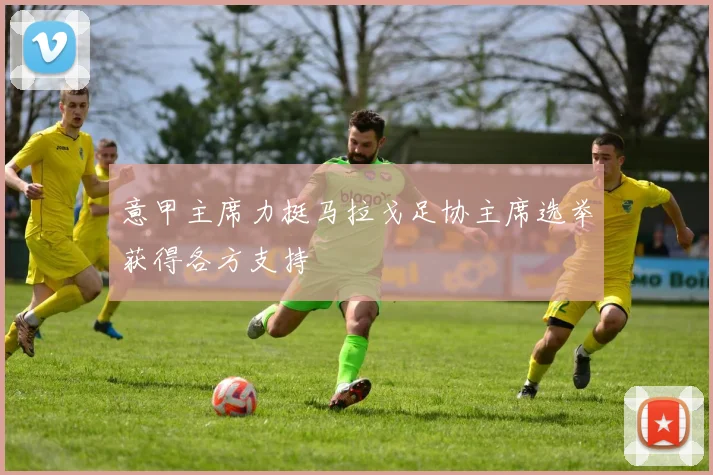 意甲主席力挺马拉戈足协主席选举获得各方支持