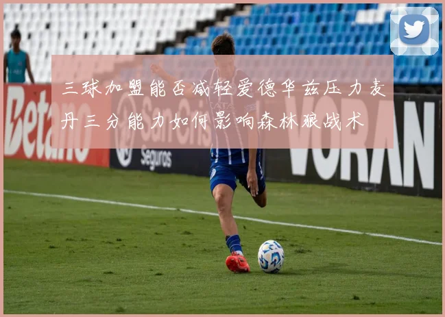 三球加盟能否减轻爱德华兹压力麦丹三分能力如何影响森林狼战术