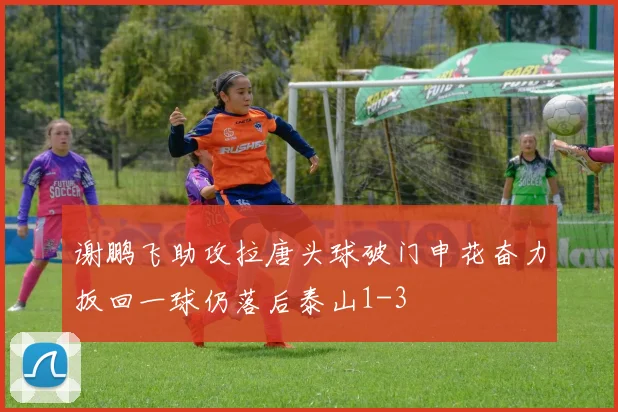 谢鹏飞助攻拉唐头球破门申花奋力扳回一球仍落后泰山1-3