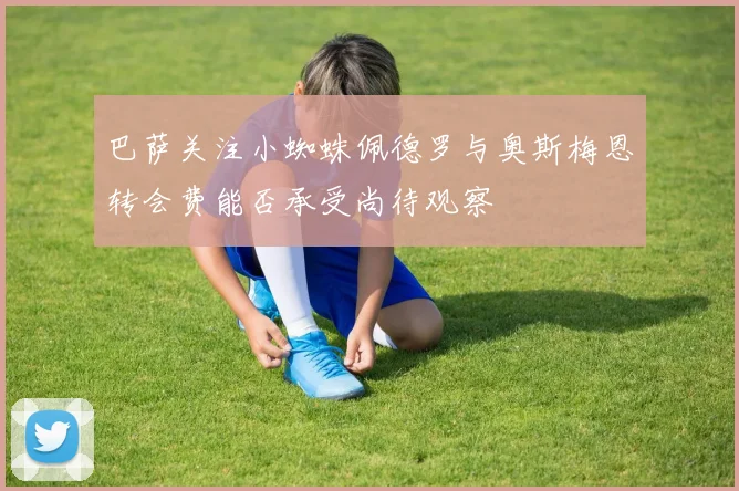 巴萨关注小蜘蛛佩德罗与奥斯梅恩转会费能否承受尚待观察